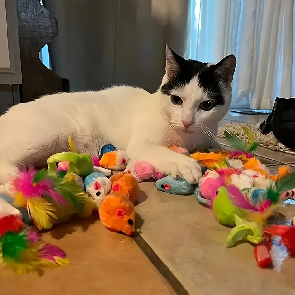 Kitty Adventure Toy Box