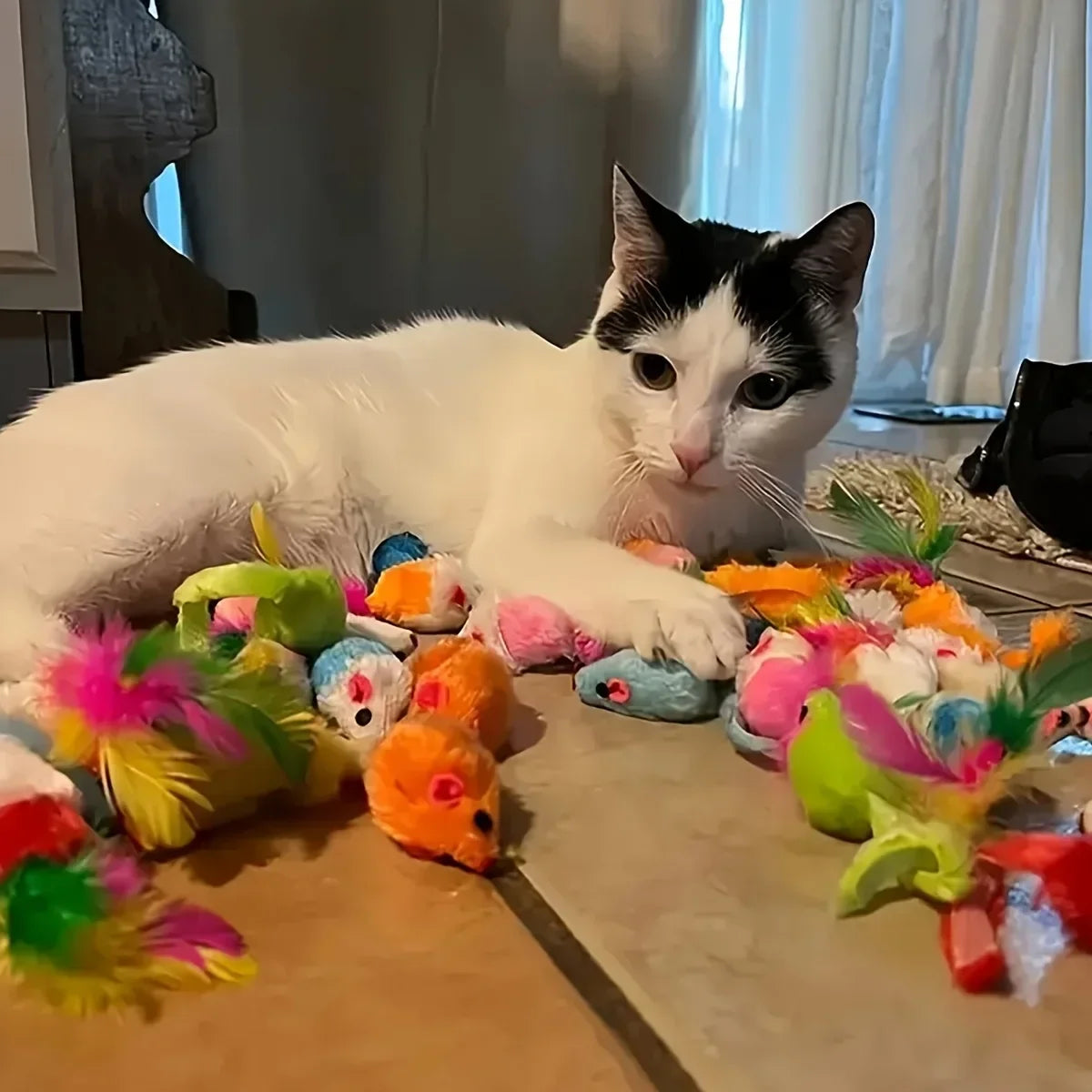 Kitty Adventure Toy Box