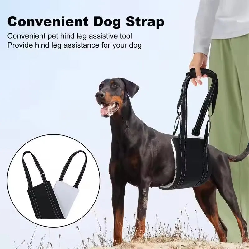 PawLift Mobility Support Sling