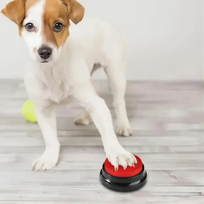 Talk to Me Training Button