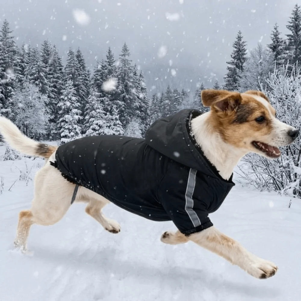 Toasty Tails Hooded Jacket