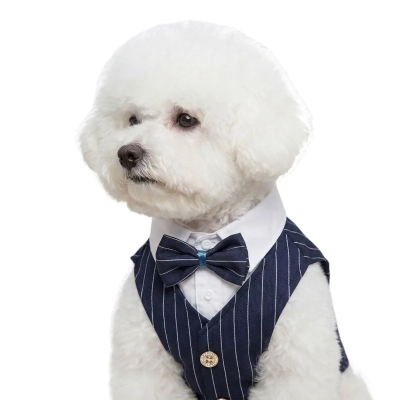 Dapper Paws Dress Shirt & Vest