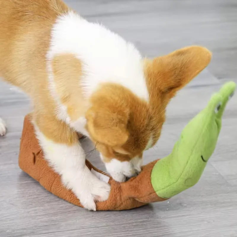 Snail Trail Snuffle Puzzle