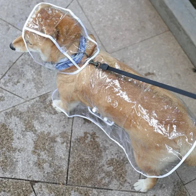 Rainy Day Pup Poncho